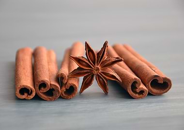 Cinnamon Sticks and Star Anise