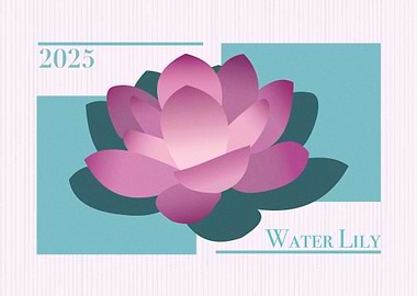 Water Lily 2025