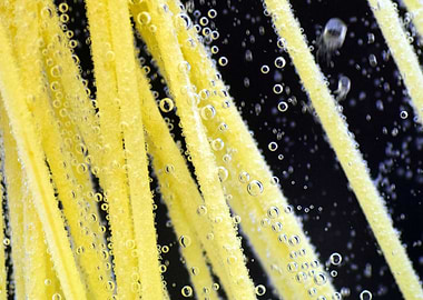 Spaghetti underwater with bubbles
