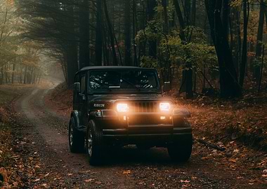 Black Jeep Rubicon in Forest