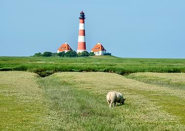 Lighthouse, Sheep, and Green Field
