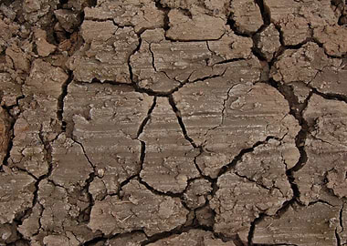 Cracked Earth Texture