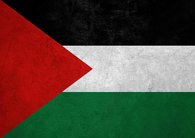 palestine flag with grunge texture