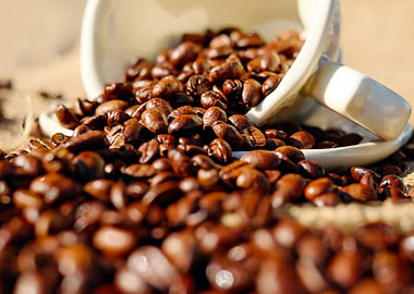 Coffee Beans Spill from White Cup