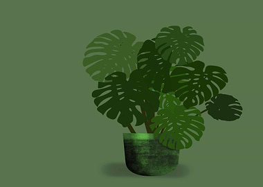 Monstera Plant in Green Pot