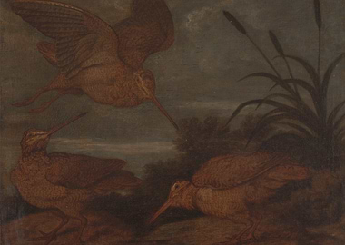 Woodcocks in a Landscape Painting