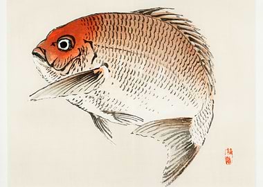 Japanese Fish Painting,Bairei Gakan