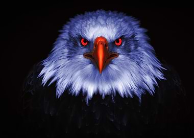 Intense Eagle Portrait with Red Eyes