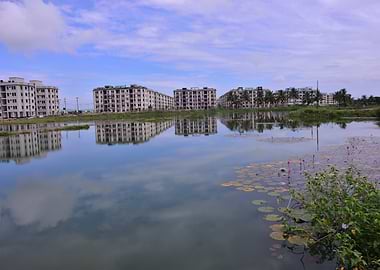 Buildings reflected in water with lily pads