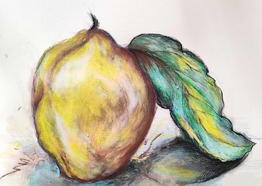 Quince Still Life Pastel Drawing