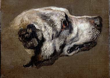 Dog Head Study Painting