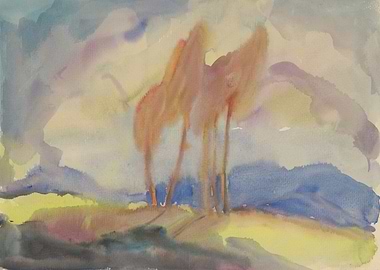 Autumn Birch Trees in a Sunlit Meadow