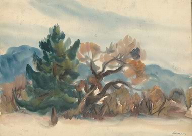 Edge of the Forest in Autumn