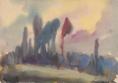 Tall Trees on the Edge of the Forest