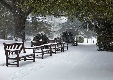 Snowy Park Benches