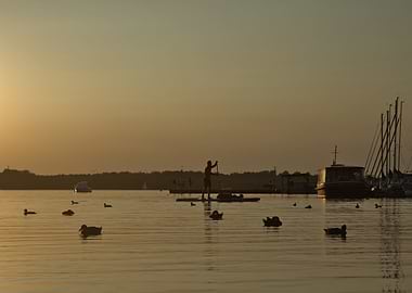 Paddleboarding at Sunset with Ducks