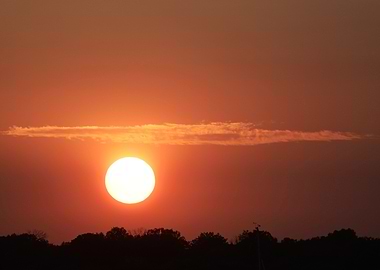 Vibrant Sunset Over Trees