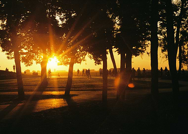 Sunset in the park with people