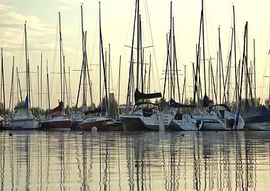 Sailboats in Harbor with Reflections