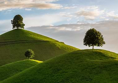 Rolling Green Hills with Trees