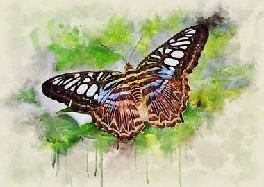 Watercolor Butterfly on Green Background