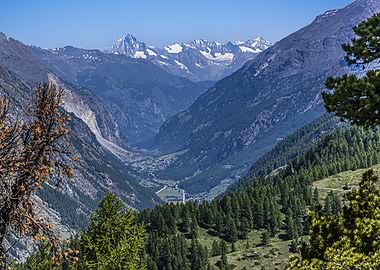 Alpine Valley Landscape with Snow-Capped Mountains