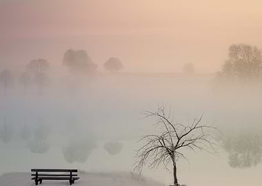 Misty Landscape with Bench and Tree