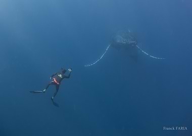 Chasseur d'image en action