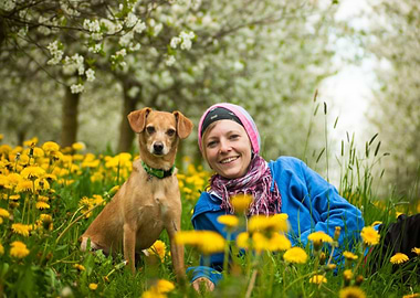 Woman and Dog in Dandelion Field