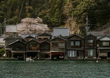 Japanese Boathouses in Ine, Kyoto Prefecture