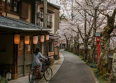Cycling through cherry blossom street, Kinosaki Onsen