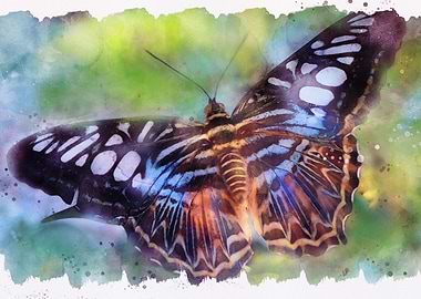 Watercolor Butterfly Art