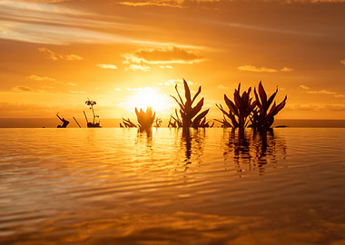 Golden Sunset Over Infinity Pool