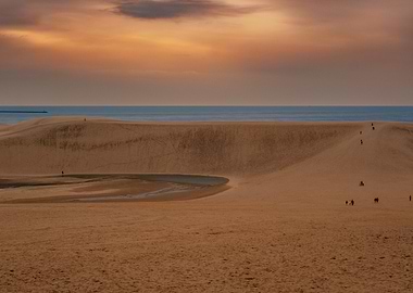 Sand Dunes of Tottori, Japan by the Sea at Sunset