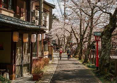 Japanese street with cherry blossoms
