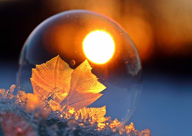 Frozen Bubble with Leaf and Sun
