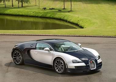 Bugatti Veyron in Natural Setting