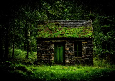 Moss-Covered Stone Cottage in Forest