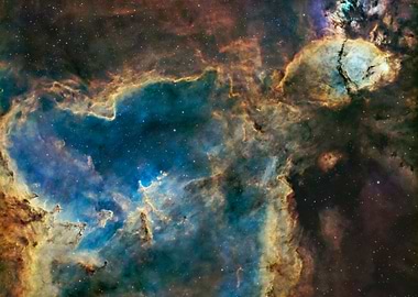 The Head & The Heart