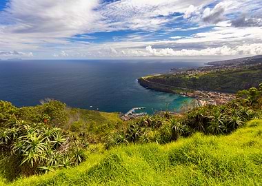 Coastal Landscape with Lush Greenery, Madeira