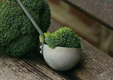 Broccoli Still Life on Wooden Surface