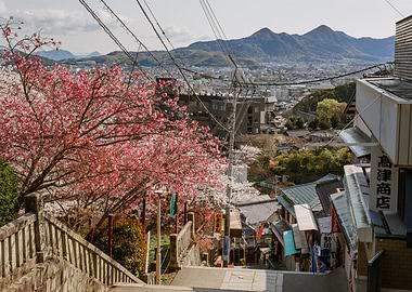 Japanese Townscape with Cherry Blossoms