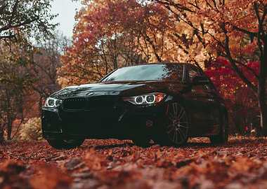 Black BMW in Autumn Leaves