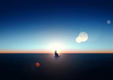 Silhouette of a Cat at Sunset