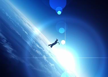 Cat in Space