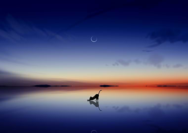 Cat Silhouette on Water at Sunset