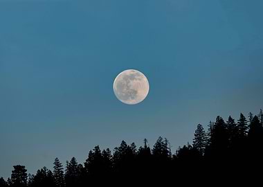Full Moon Over Forest Silhouette