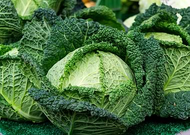 Fresh Green Savoy Cabbage Close-Up