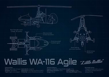 Wallis WA-116 Agile