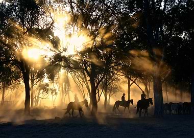 Rising into an Outback Sunset